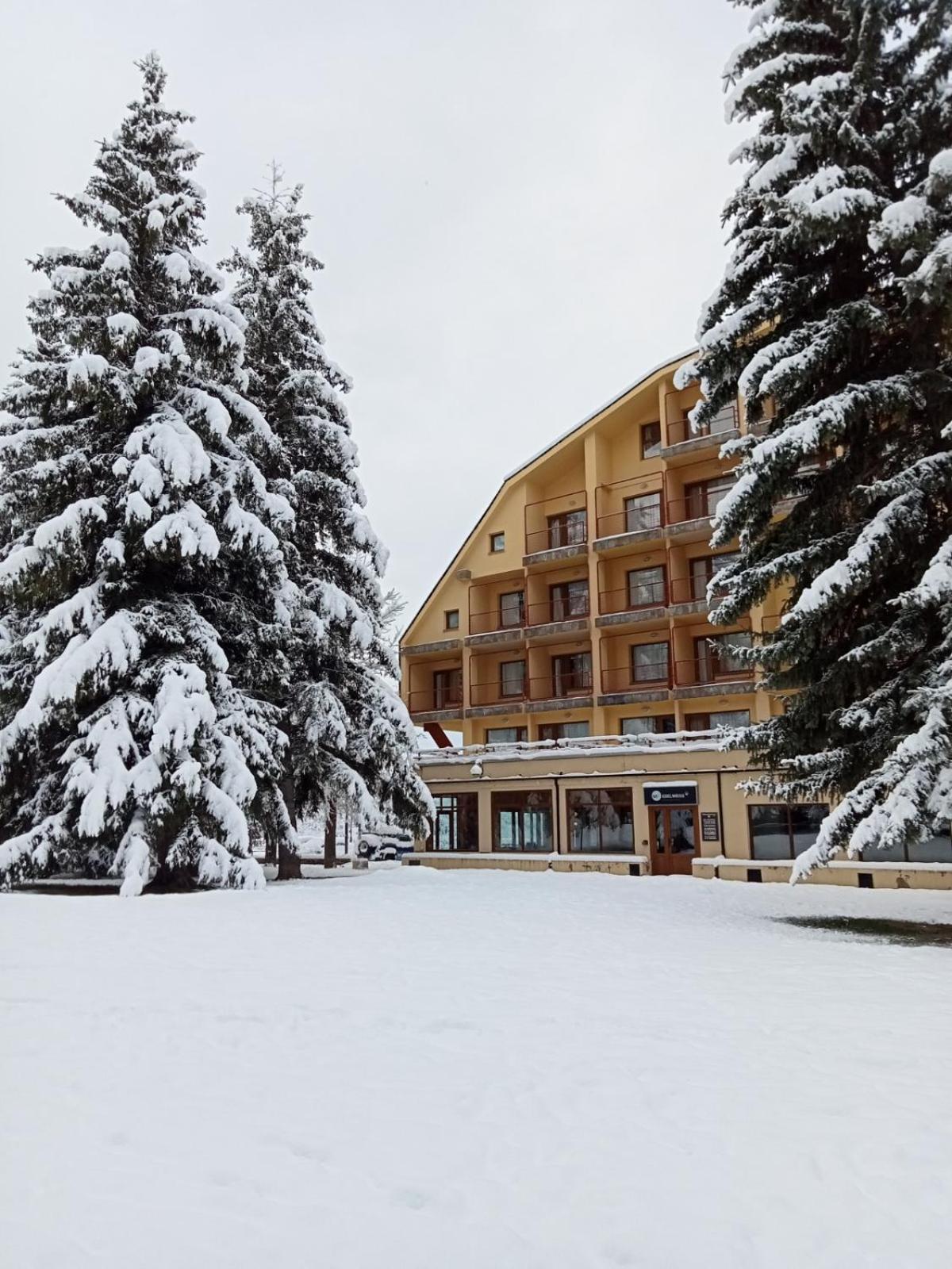 Apartamentos Snoe Edelweiss Cerler Luaran gambar